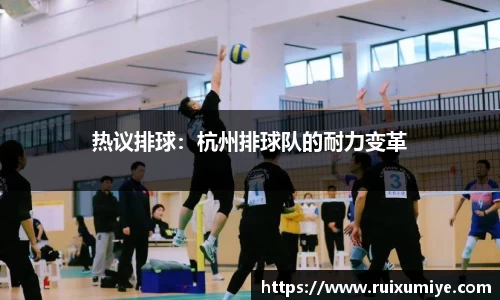 热议排球：杭州排球队的耐力变革