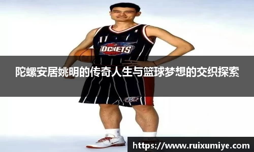 陀螺安居姚明的传奇人生与篮球梦想的交织探索