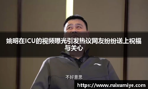 jinnian金年会