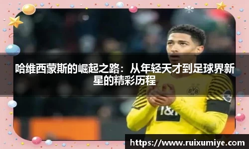 金年会