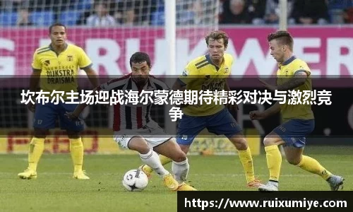OE欧亿