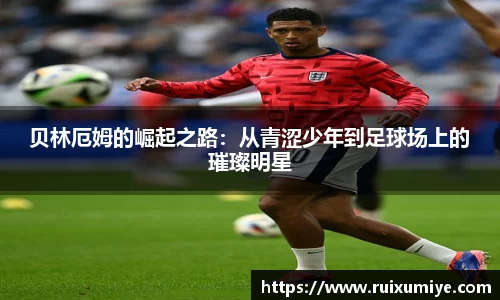 OE欧亿官方网站